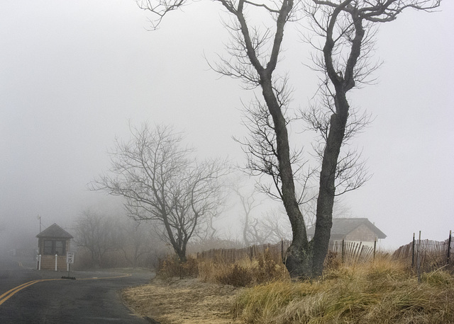 greenwichfog-toddspoint12-15-2015