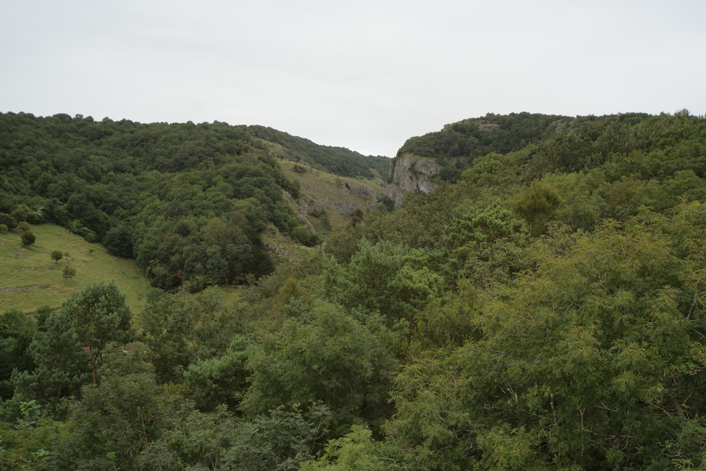 Cheddar Gorge From Jacob's Ladder Tower