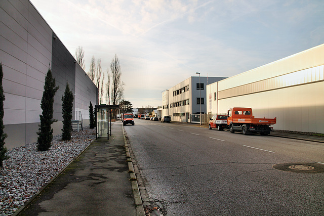 Timmerhellstraße (Rhein-Ruhr-Hafen, Mülheim-Speldorf) / 7.01.2023