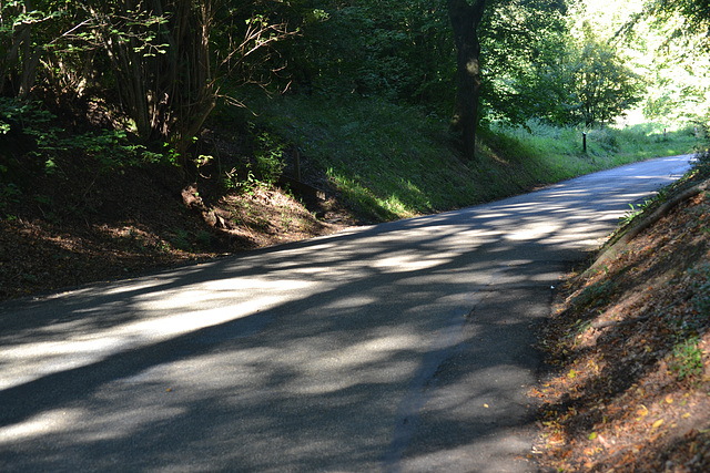 Autumn arrive long shadow