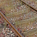 Details of a Steam Train  22