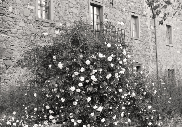 La casa di Agostino