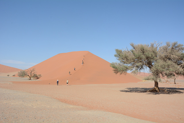 Namibia, Ascent to the dune No45 in the Sossusvlei National Park