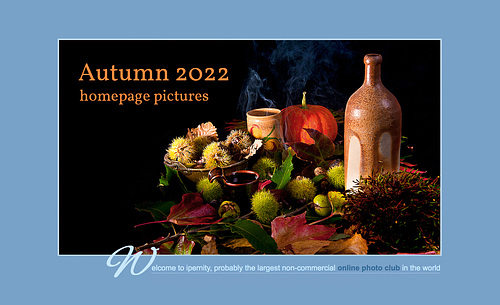 Ipernity Homepage Autumn 2022