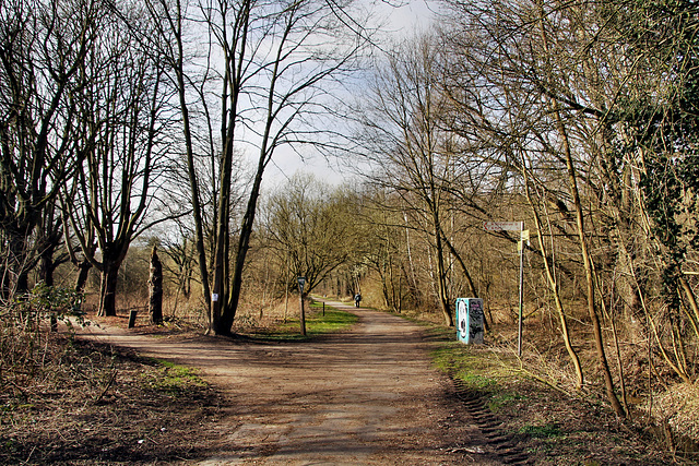 Wanderweg "Im Ostfeld" (Dortmund-Kurl) / 12.03.2022
