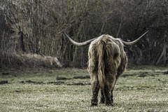 ... und tschüss ... (© Buelipix)