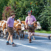 Cattle Drive (14)