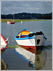 Reflets à la fête des doris en Rance (22)