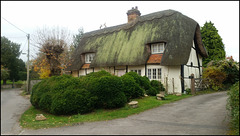 thatched cottage in Church Lane
