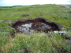 Un gros trou dans la verdure