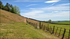 HFF............ HFF............