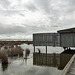 Frank Lake bird blind