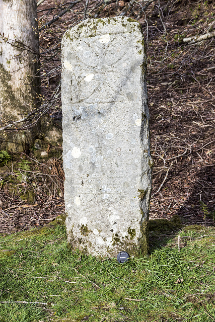 Clachan Pictish Symbol Stone 1