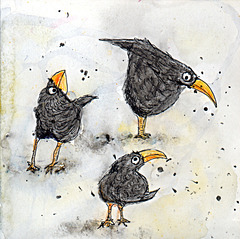 Blob blackbirds