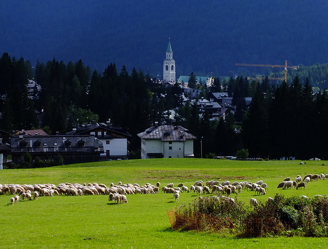 Was von der Wiese übrig bleibt ...