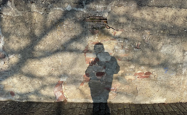 Shadow on the wall