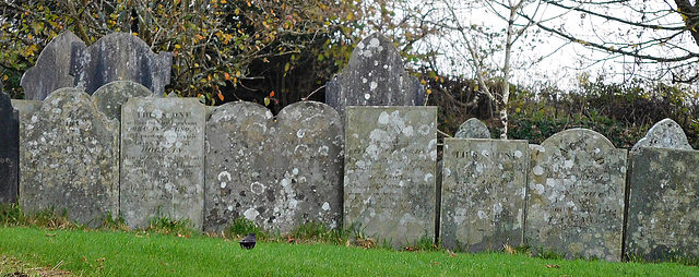 Stoke Climsland Graves