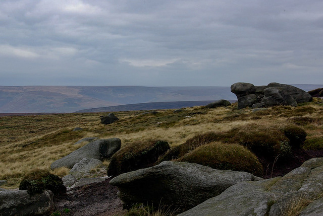 Lower Shelf Stones