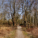 Weg im Kurler Busch (Dortmund-Kurl) / 12.03.2022