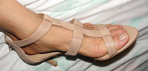 DSC00978
