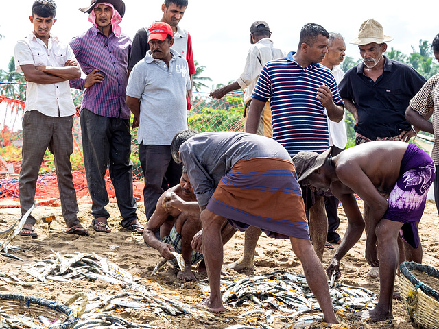 Sri Lankan traditional fishing, Wadduwa