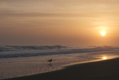 Monte Gordo, Fim de dia, End of day