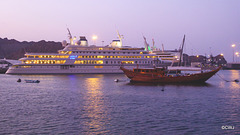 LR-1040333