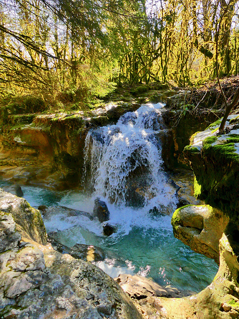 P1360749- Le Muffieu  - Randonnée Artemare.  17 février 2021