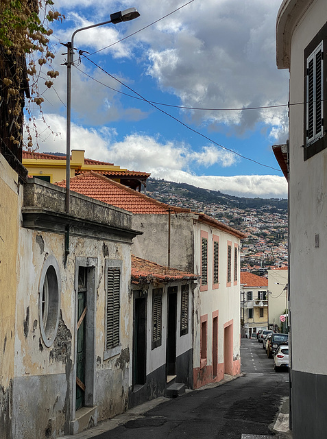 IMG 0772-2