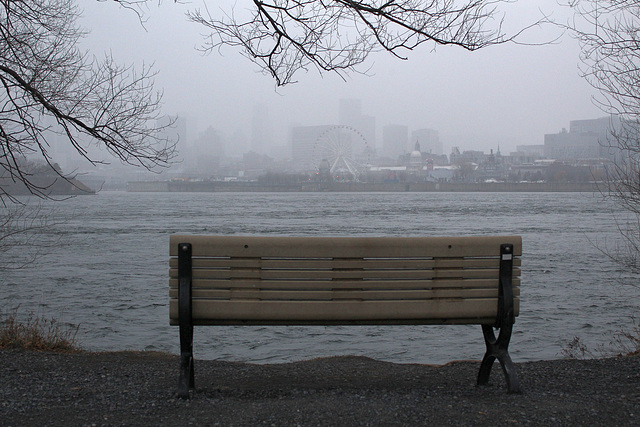 happy foggy bench monday