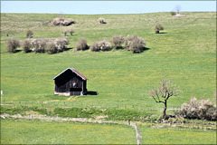 Grandfontaine-Fournets (25) 22 avril 2017.