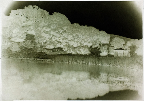 Fish Pond Calotype