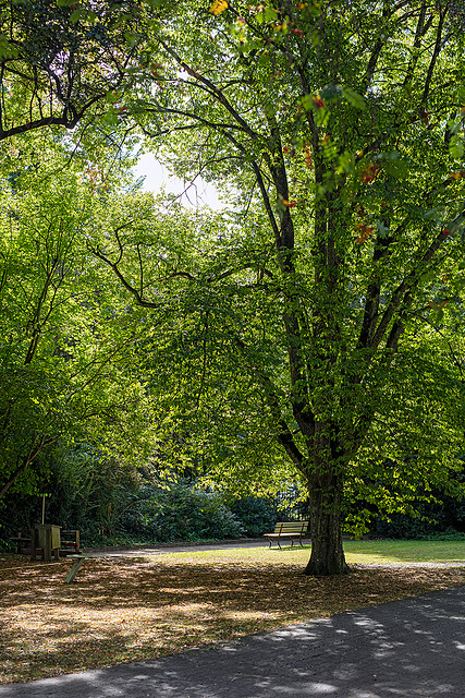 180922 Muensingen PZM parc