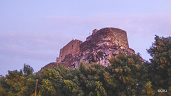 LR-1040334