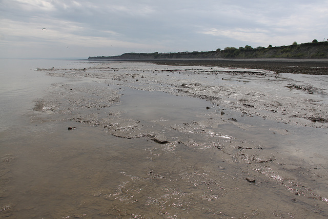 Low Tide