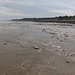 Low Tide