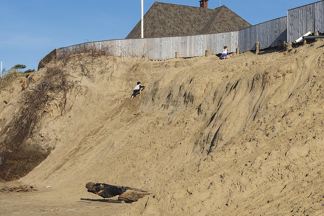 Life on the Eroding Sand Dune