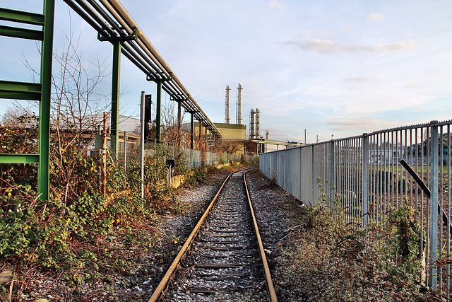 Hafenbahngleis (Rhein-Ruhr-Hafen, Mülheim-Speldorf) / 7.01.2023