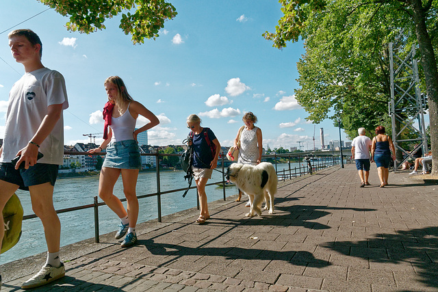 Promenade au bord du Rhin