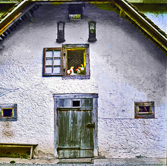 How did the chicken get into the second floor)