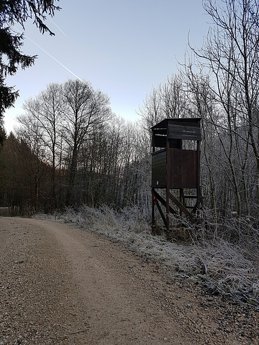Blankenheim - In der Nähe des Schaafbachtales