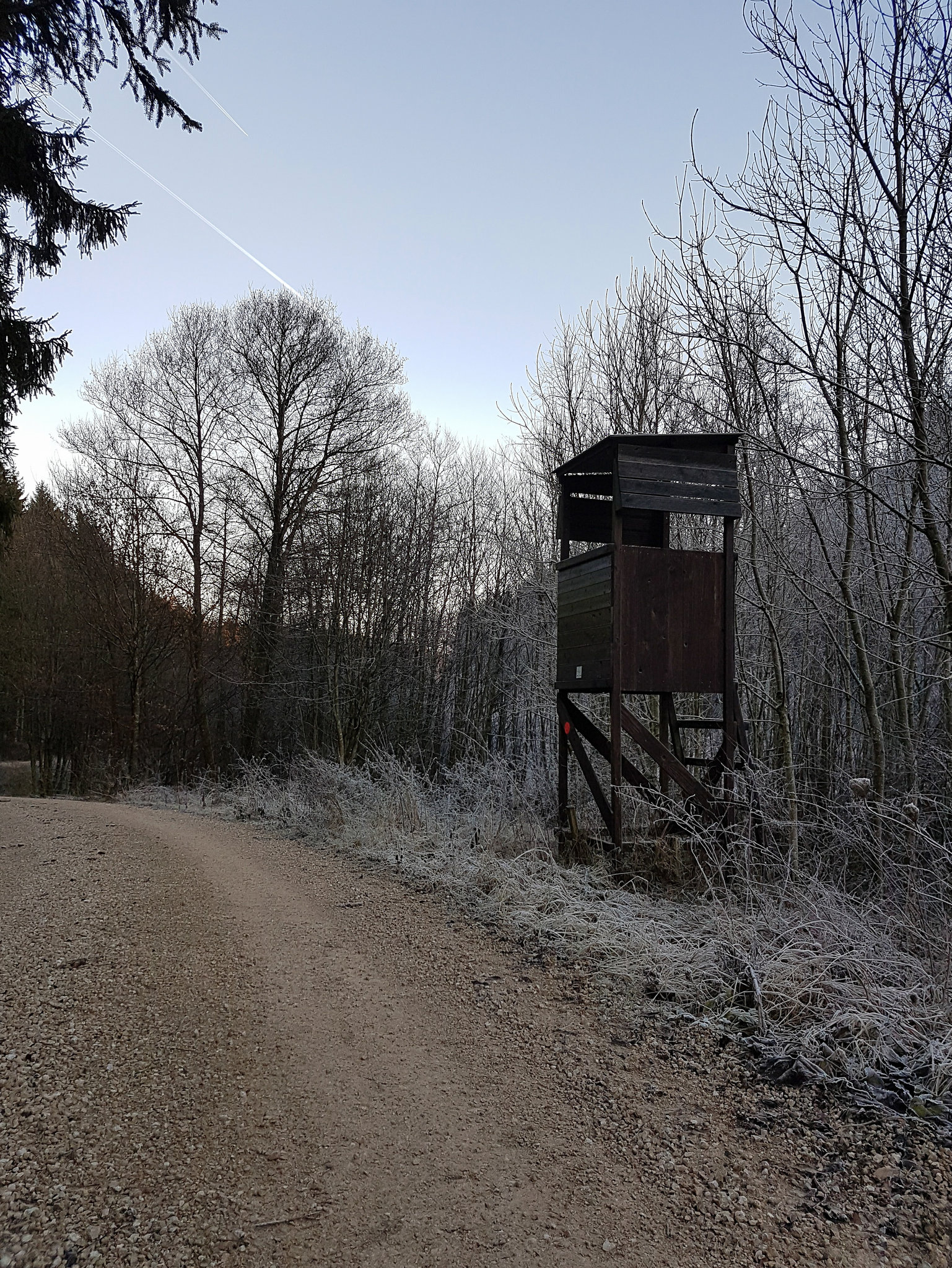 Blankenheim - In der Nähe des Schaafbachtales