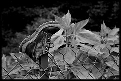 clôture de jardin ; encore un abandon scandaleux