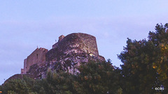 LR-1040335