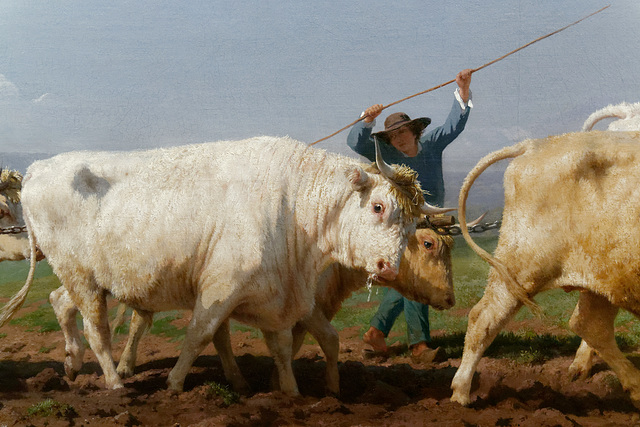 "Labourage nivernais" (détail) (Rosa Bonheur - 1849)