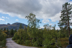 unterwegs zum Naturum Laponia (© Buelipix)