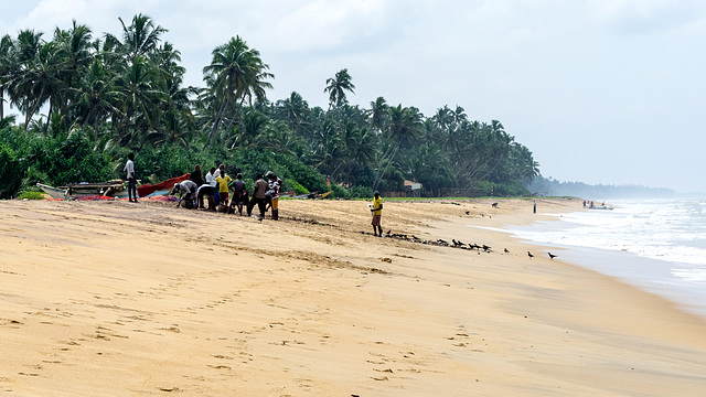 Sri Lankan traditional fishing, Wadduwa