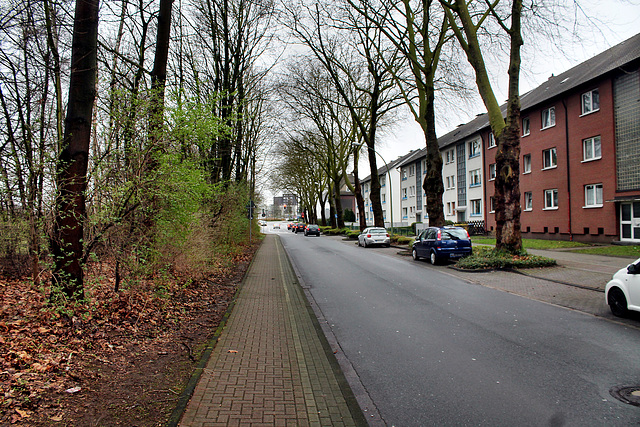 Devensstraße (Bottrop) / 19.03.2017