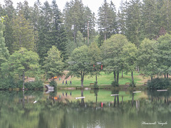 Am Schlüchtsee