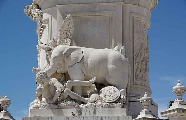 Elephant, trumpeting